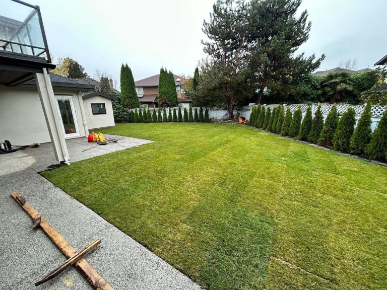 Landscaping Solutions for Ladner